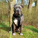 Profile Picture of anja Walter (@anjawalter8) on Instagram