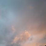 Profile Picture of Heide/Dithmarschen (@erik_poked) on Instagram