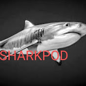 Profile Picture of Chris Branch  (@SHARKPOD88) on Youtube