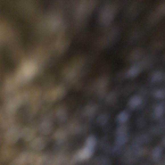 Profile Picture of Brianna Ebert (@briannaeb) on Poshmark