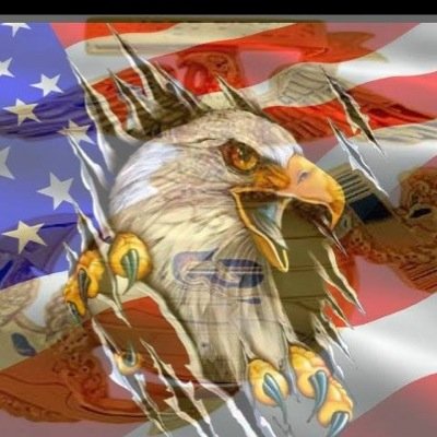 Profile Picture of Brian Rollin (@bbrollin10) on Twitter