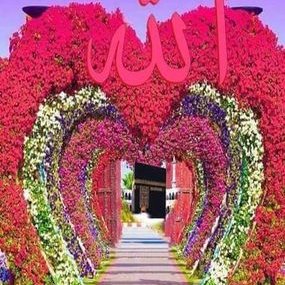 Profile Picture of Zubair Shaikh (@zubairshaikh222) on Twitter