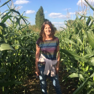 Profile Picture of Jane Sweeney (@JaneCSweeney) on Twitter