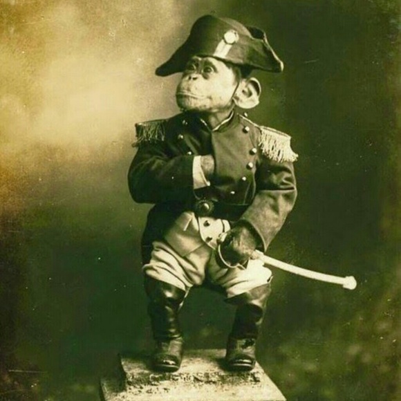 Daniel Madril - Poshmark Profile Picture of Daniel Madril (@hotstufflol) on Poshmark