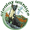 Profile Picture of Jon (@Glenloy Wildlife) on Flickr