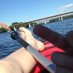 Profile Picture of Gino Beauregard (@astral_gorilla) on Instagram