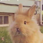 Profile Picture of Ava Solomon (@avaso_0813) on Instagram