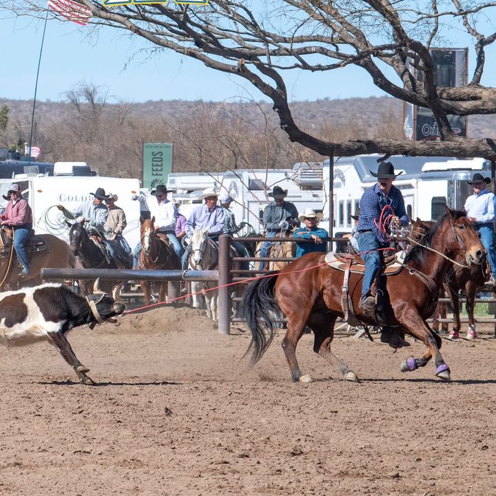 Profile Picture of Andrew Carraway (@@andrewcarraway3) on Tiktok