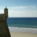 Profile Picture of Nuno Félix (@felix.nuno) on Instagram