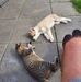 Profile Picture of Tony Bowe (@tony.bowe.37) on Facebook