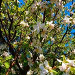 Profile Picture of James Williams (@seversjmkosareva62) on Instagram