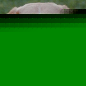 Profile Picture of Kyle Biggerstaff (@yellowdogs) on Myspace