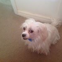 Profile Picture of Nancy Mccabe (@nancy-mccabe-3) on Quora
