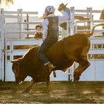 Profile Picture of Adrian Williamson (@adrian_williamson_) on Instagram