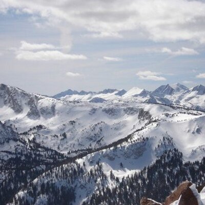 Profile Picture of Peter Shannon (@peterjshannon) on Twitter