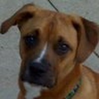 Profile Picture of Lori Cavanaugh (@lori-cavanaugh) on Quora