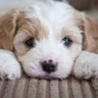 Profile Picture of Keith Monahan (@keith-monahan-10) on Quora