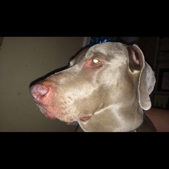 Profile Picture of Grace Hergott (@jj3jw5cs) on Poshmark