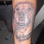 Profile Picture of Joe DiGirolamo (@joedfarmer) on Instagram