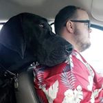 Profile Picture of keith vega (@wrecktaljawbone) on Instagram