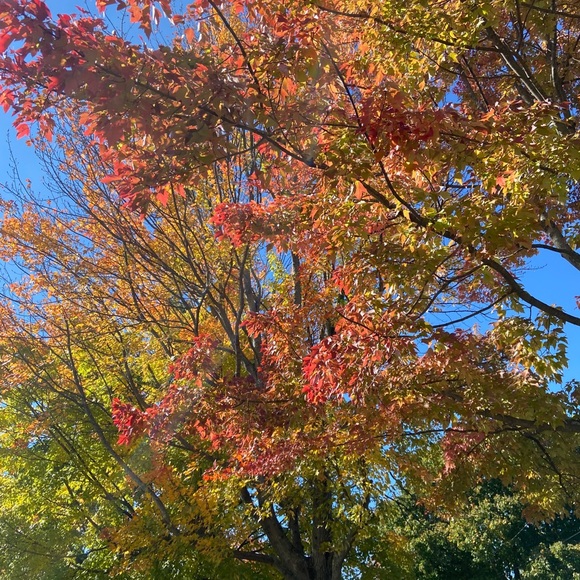 Profile Picture of Casey Mccarthy (@caseymccarth676) on Poshmark