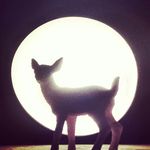 Profile Picture of Sarah Wurst (@the_daring_dandelion) on Instagram